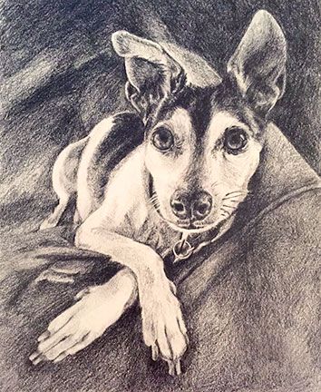 Graphite commission