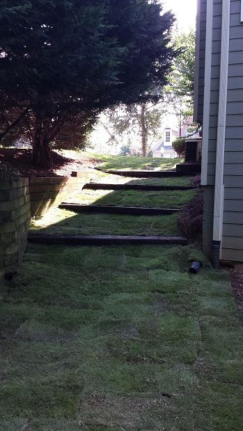 Landscaping for problematic erosion.