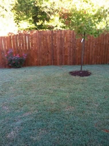 All different kinds of stains to choose from one o