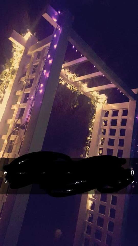 An arbor I built jus for my brothers wedding. 