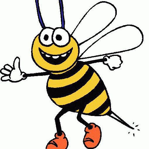 Bizy Bees Exterior Cleaning