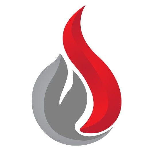 Digital Fire Team LLC
