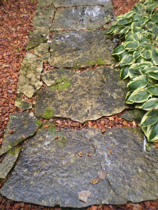 Limestone walk Before - Pressure Washing