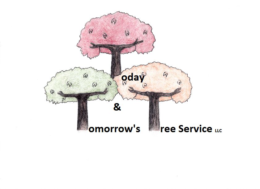 Today & Tomorrow's General Construction & Tree ...