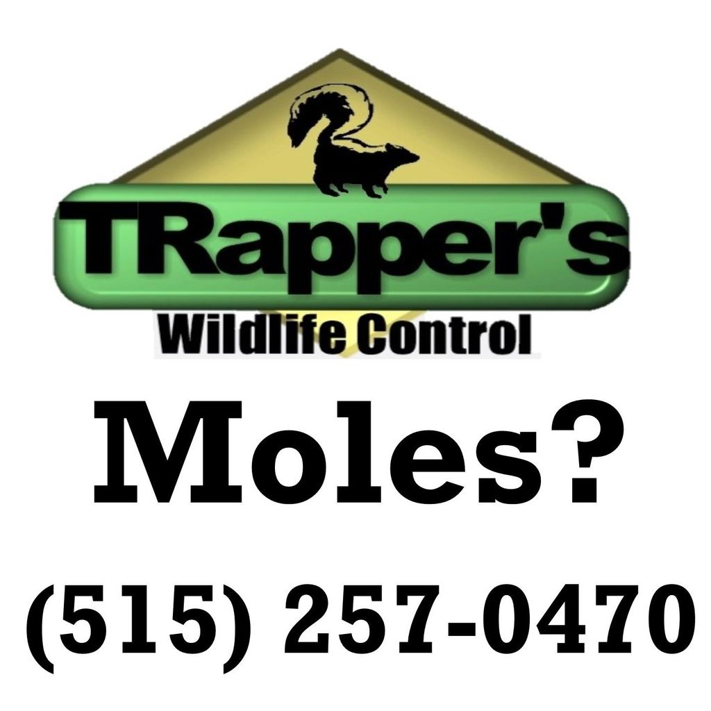 TRappers Wildlife Control