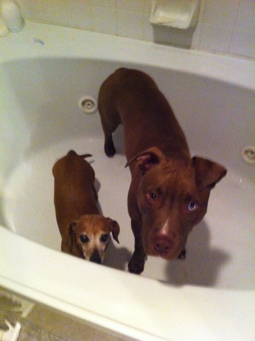 Yep! If requested you will get a bath too