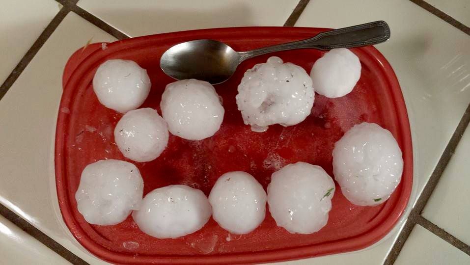 Another photo of the possible hail stones that cou