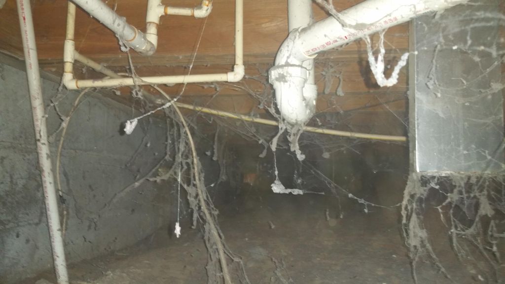 We do this so you can be confident in what you are