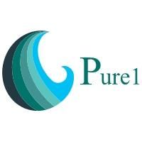 Pure 1 Carpet Cleaning