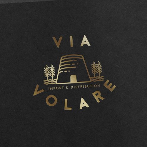 Logo and brand identity for Via Volare