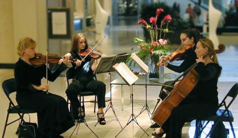 The enchantment of a string quartet is the ultimat
