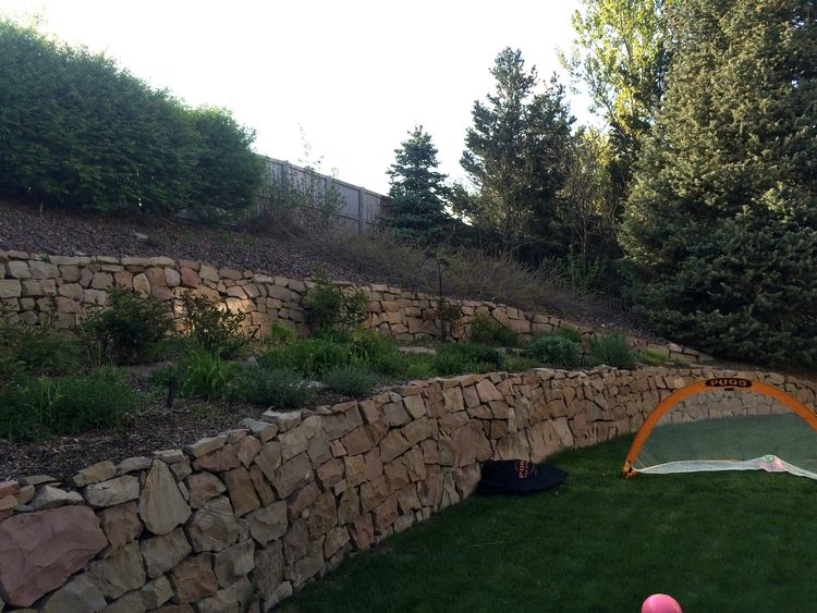 Take a drab back yard, and see what we can do with