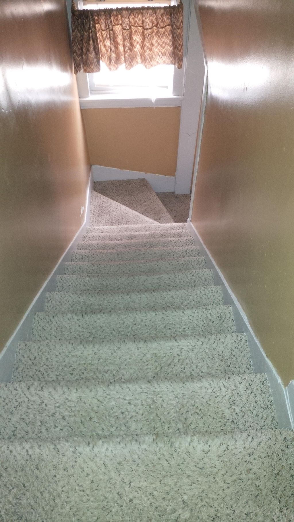 After Carpet Cleaning