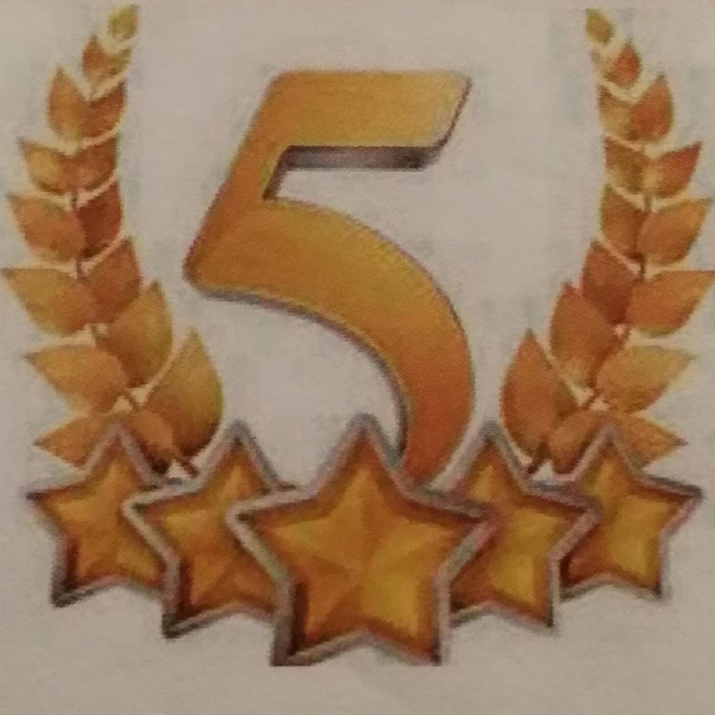 5 Star Services LLC