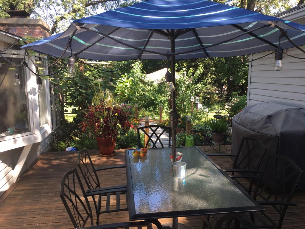 Backyard garden for you to enjoy while you wait.
