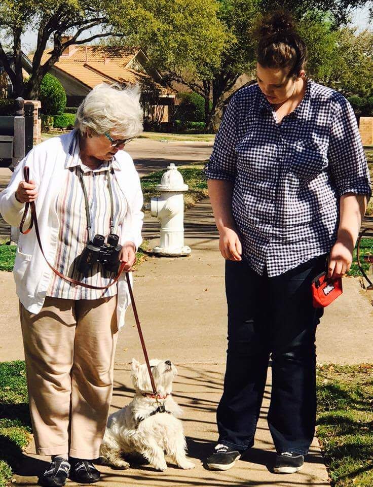 I know I can get the results with the dogs, but I 