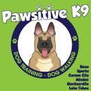 Pawsitive K9