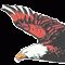 Eagle Talon Home Repair