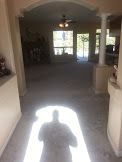 Removed Carpet & Padding
Entryway