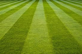 Mowing at it's best!