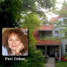 Peri Ozker Acupuncture