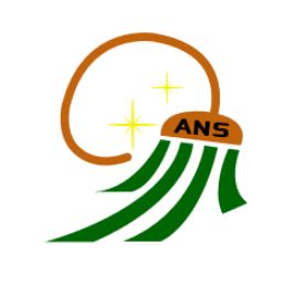 ANS General Services LLC