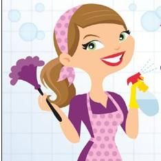 Selena’s Spotless Cleaning Service