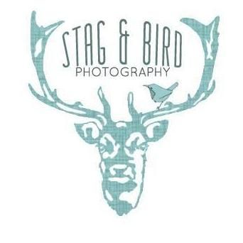 Stag & Bird Photography