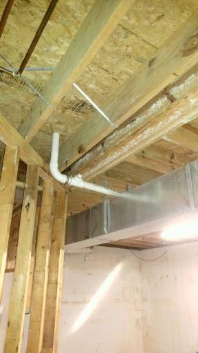 Heavy white mold on basement subfloor