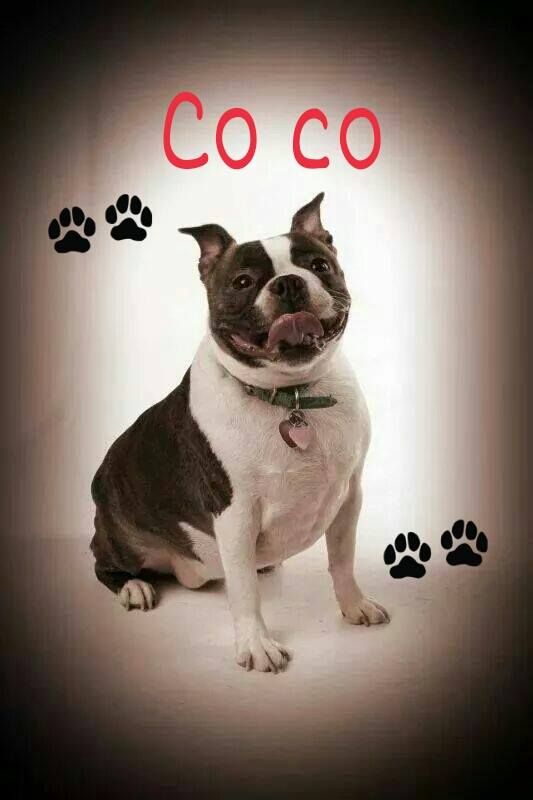 Co co Furever Love and Care member