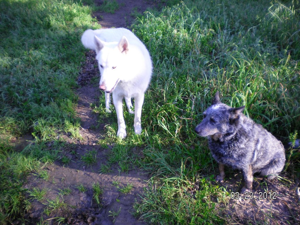 Atlas and Minerva
