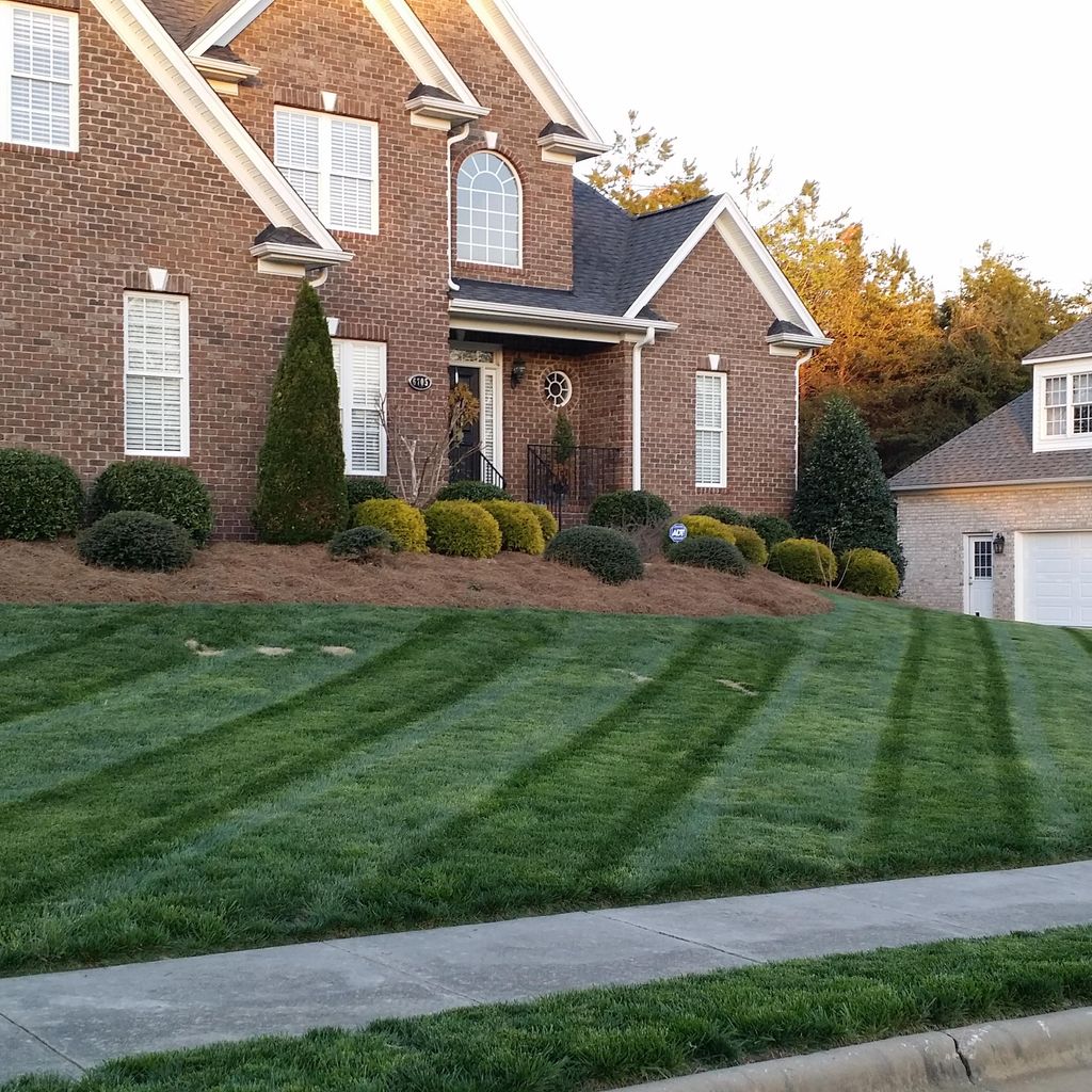 Around Your House Landscaping