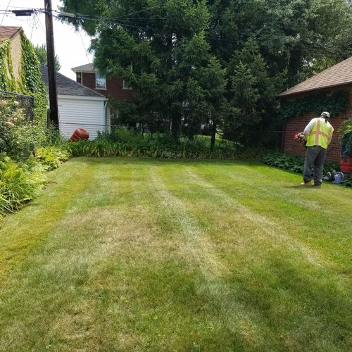 We mow, Edge and blow  your lawn clean