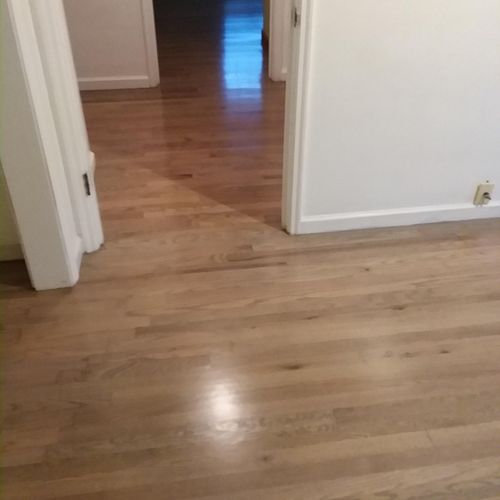 Gray stained floor refinish, red oak. 