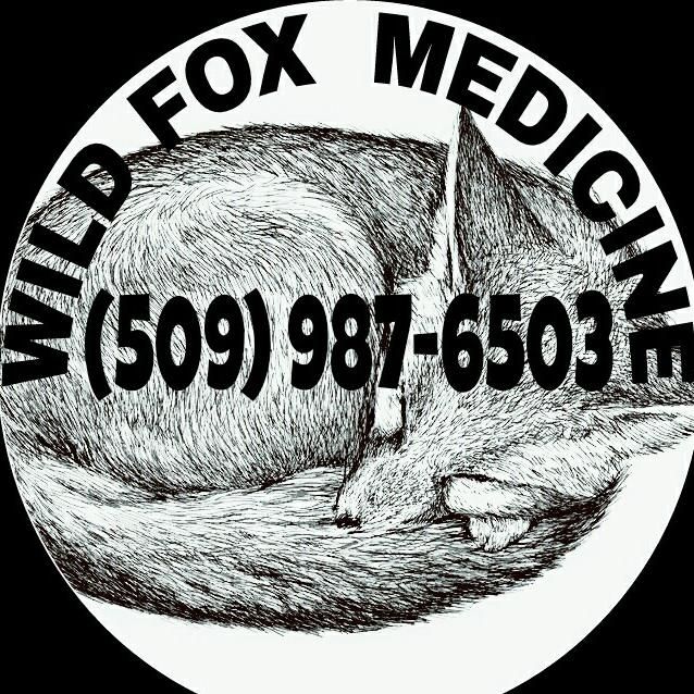 Wild Fox Medicine