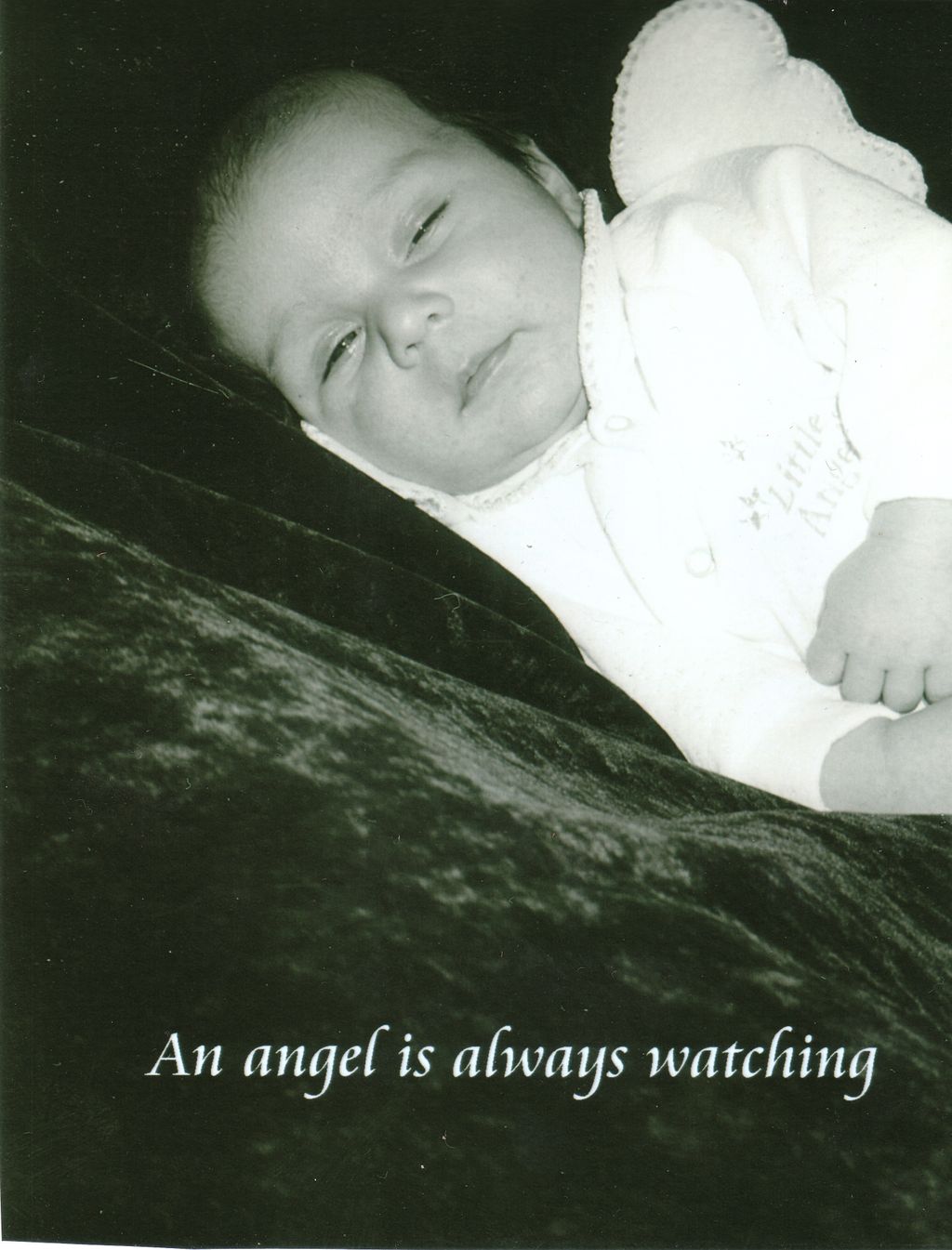 2001 - Angel Watching - unaltered photograph w/ te
