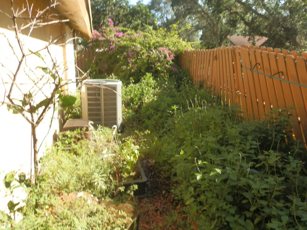 Weeding Project (BEFORE)