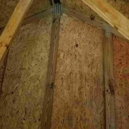 Mold in attic after