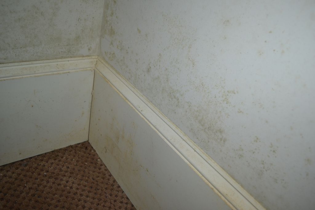 SFR Home Inspection (Custom)

9600 Cedar Grove Rd
