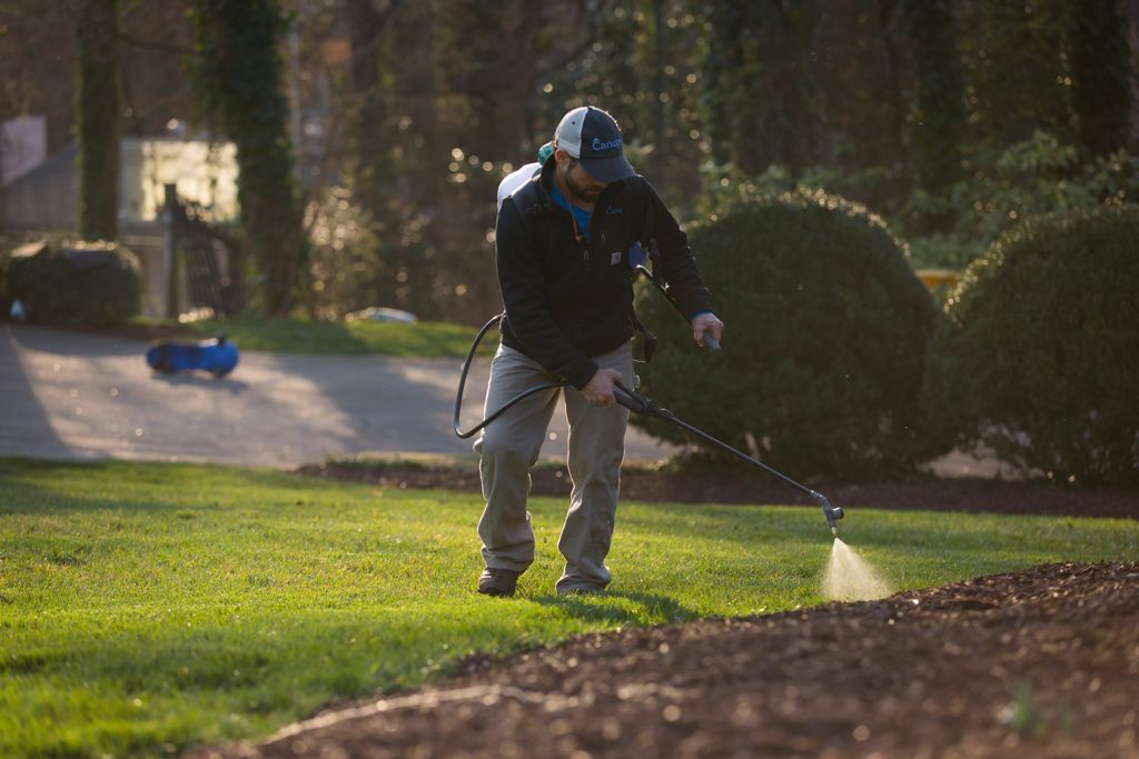Comprehensive weed control and fertilization.