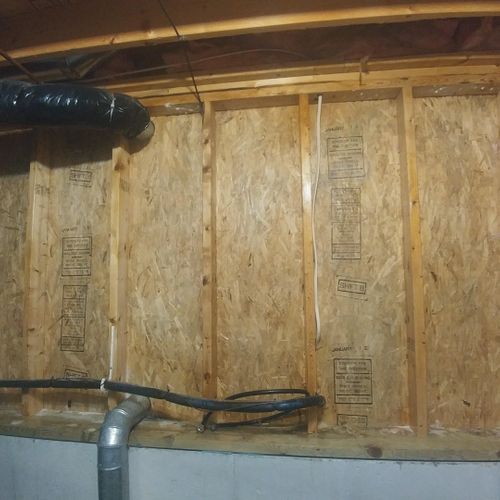 Mold in basement after