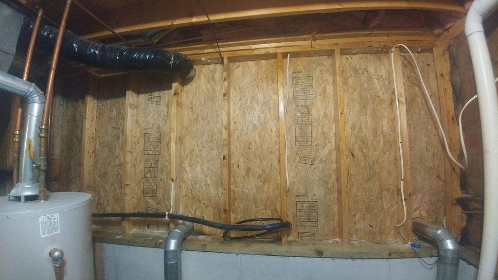 Mold in basement after