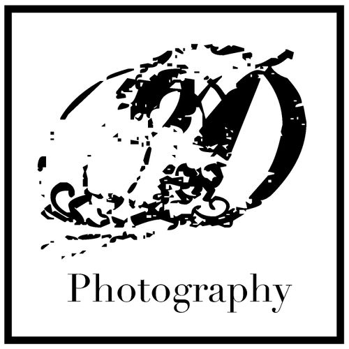 DErasmo Photography Logo