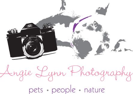 Logo design for Angie Lynn Photography
