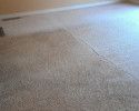 During Carpet Cleaning