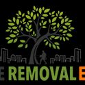 Tree Removal Erie