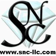 Sarceno Network Consulting LLC