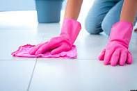 Squeaky Clean Maid Service, LLC