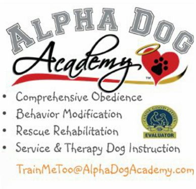 Alpha Dog Academy