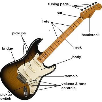 Learn the parts of the guitar and how to properly 